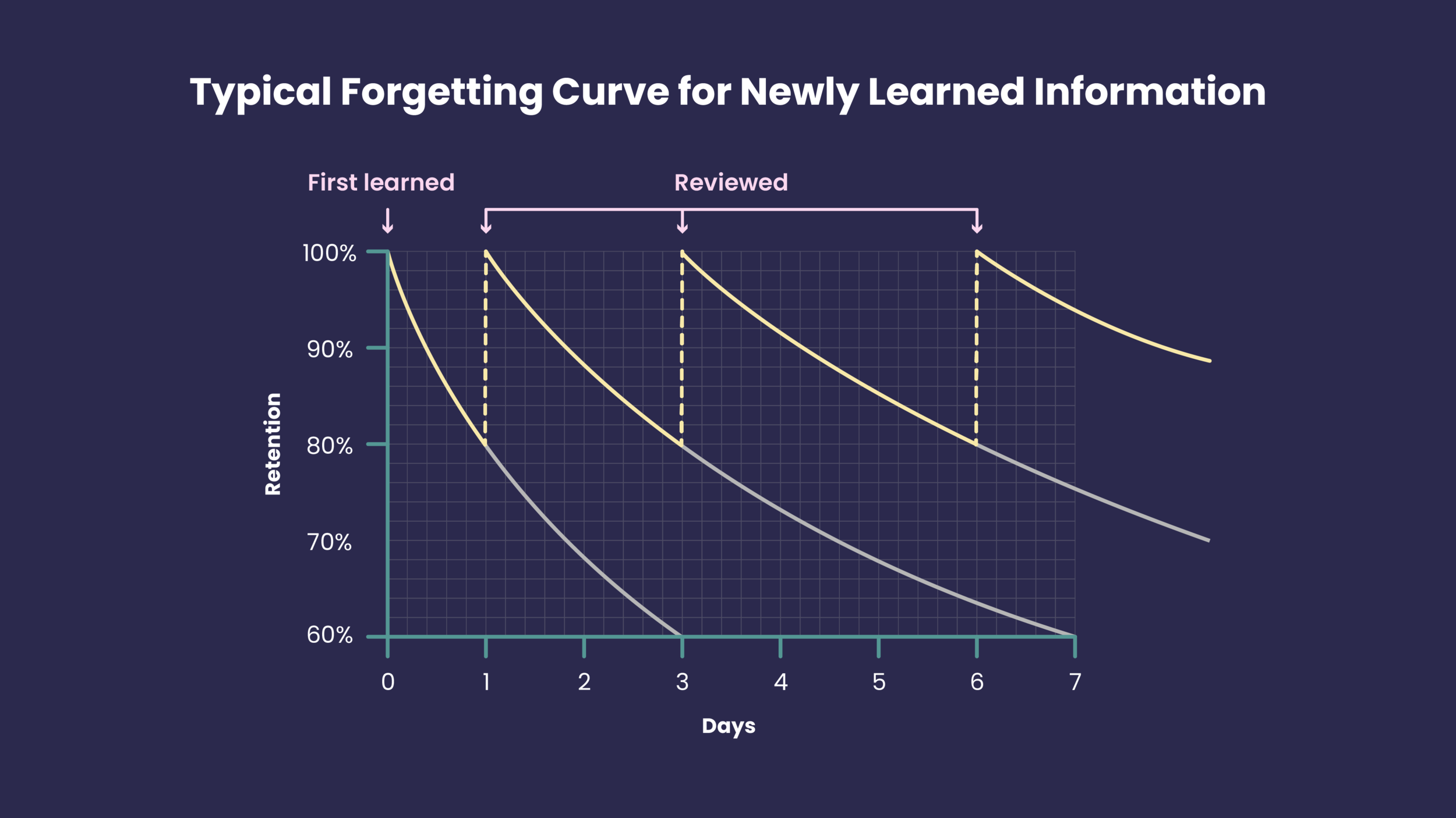 Microlearning Graph-01-1