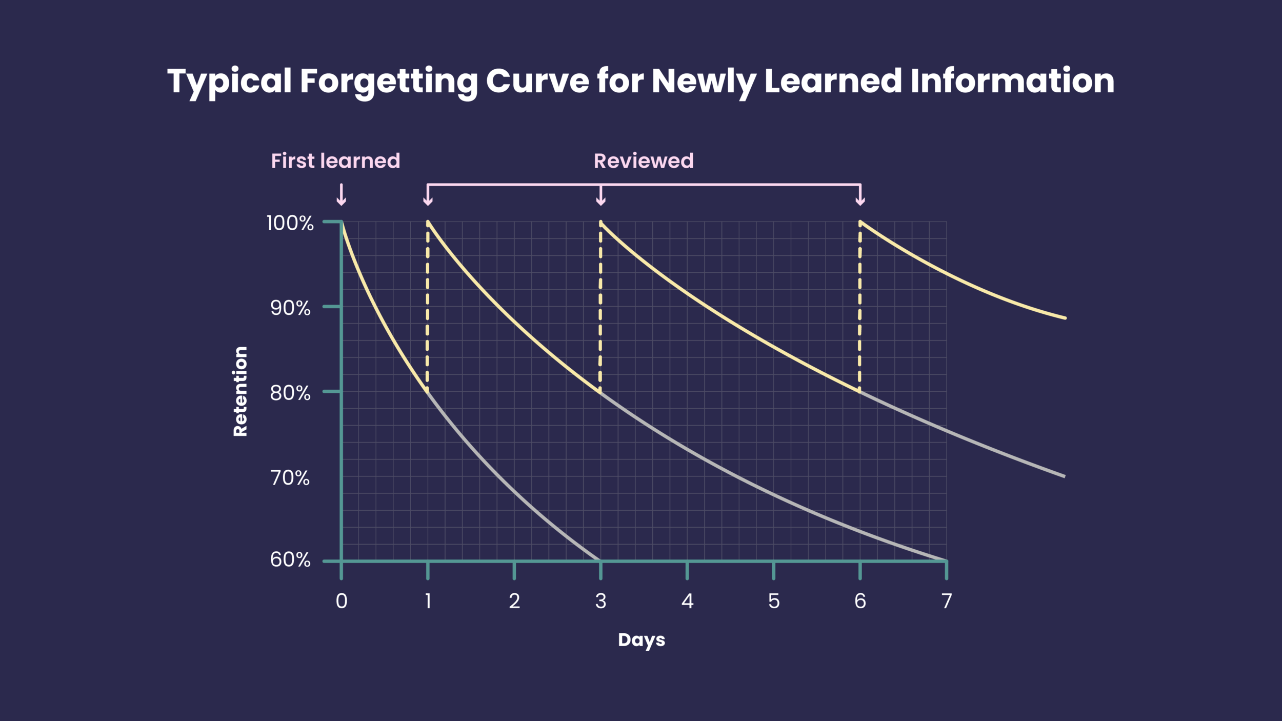 Microlearning Graph-01